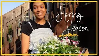 Spring Vibes🌱| Indoor and Outdoor Gardening