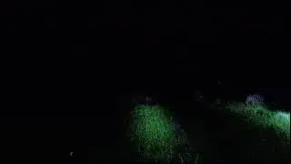 अभी अभी खेत में हाथी आ गया || #trendingvideo #viral