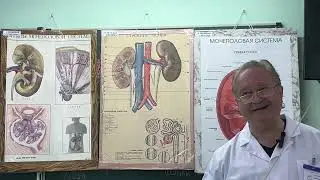 Video lecture 