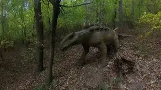 Siroki Dino park