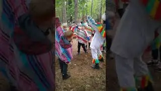 Лихолесье