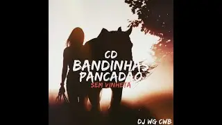 CD BANDINHAS PANCADÃO SEM VINHETA DJ WG CWB