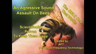 ANTI BEE REPELLENT SOUNDS THE ONLY ONE THAT WORKS