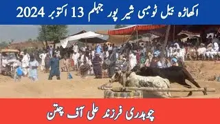 Chaudhry Farzand Ali of Chittan | Dandan Da Akhara Shairpur Jhelum 13 October 2024