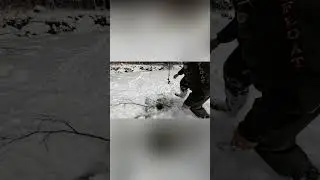 Как правильно наживить Живца??? Рыбалка на Тайменя.|рыбалка в России | #fishing  #рыбалка #shorts