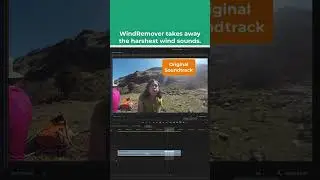 How to Cut Wind Noise in Half in your Audio Track in Seconds
