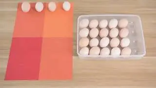 24 Grid Eggs Groove Plastic Shatterproof Refrigerator Storage Cabinets