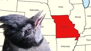 Bad News from Missouri.....