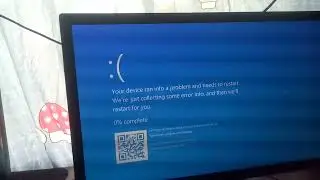 Google Meet Livestreaming Echo Has BSOD