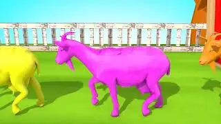 nama nama hewan untuk anak anak