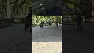 The first time yiyi riding Malibu, a very smart, kind, lovely and young female horse! #shorts