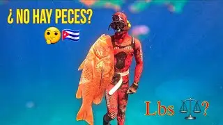 What's spearfishing like in the place with the fewest fish in Cuba 🇨🇺? 🤔