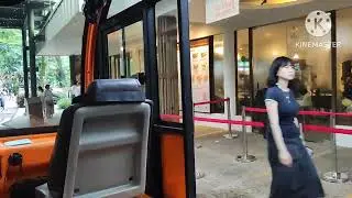 TRAM RIDE AT SINGAPORE ZOO