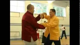 Wingchun in life and in cinema