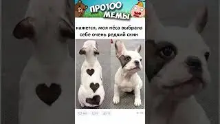 #приколы