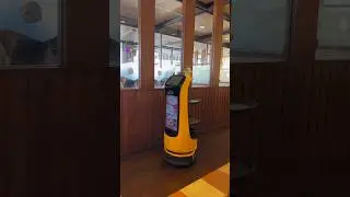 Japanese restaurants too automated? #japan #robot #future