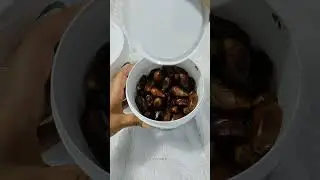 ✨Klik Link di bio no. 104🛒 #kurma #kurmaalqasim #racunshopee