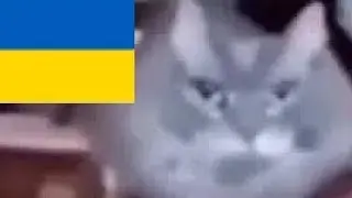 На украинском - телевизор туту телевизор туту