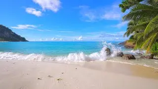 Seychelles Island Retreat 🏝 Turquoise waters of the ocean 4K Ultra HD