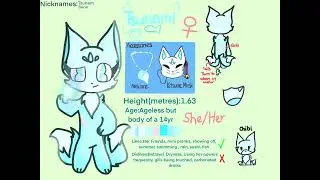 Tsunami Ref sheet