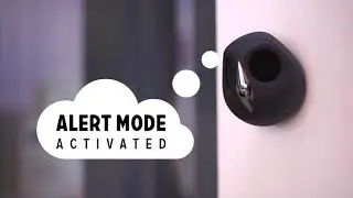 Super cute owl smart camera USE
