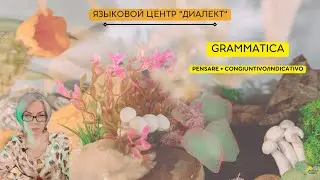Минутка итальянского: pensare + congiuntivo/indicativo