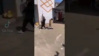 Когда собаке дали покататься | #Shorts