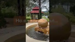 Очередная история из путешествий по Вьетнаму #vietnam #reels #fun #dalat #jokes