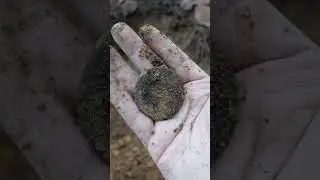 SÍGUENOS en esta AVENTURA en BUSCA de TESOROS 