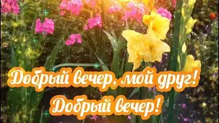Добрый вечер,мой друг! Пожелания доброго вечера! Музыкальная Открытка с добрым вечером