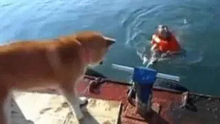 Собака лучший друг человека это уже доказано : )