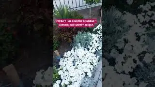 Когда у нас красиво в сердце - цветами всё цветёт вокруг. 