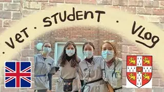 Small animal rotation week | Cambridge University vet student vlog #4