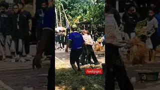 JARANAN NDADI #shorts #reog #jaranan #ndadi