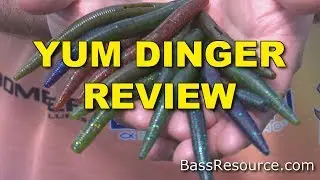 YUM Dinger Review – What You Need To Know | Bass Fishing