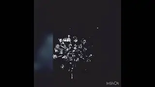 Новый 2021 год в Новоросе !
