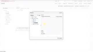 BIP Essbase POV Parameter Support
