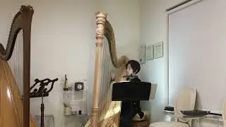 Tempoe Entertainment Hee Jin Yoon Harpist Promo Jesu, Joy of man’s desiring by Bach