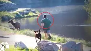 1 Hour of the WORST Videos I've Ever Found on the Internet [Vol. 4]