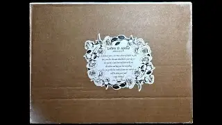 Advent Unboxing | Letters to Apollo 2022