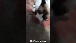 She is very complaining while Eating...