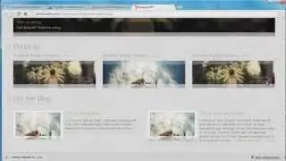 Basic Website Performance Optimization Tips & Tricks
