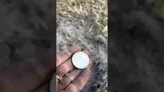 Metal Detecting a 150 Year Old Mansion!