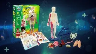WS120-1 Hands on Human Body