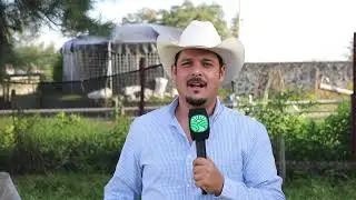 Gallos de alta genética 🐓 🐔