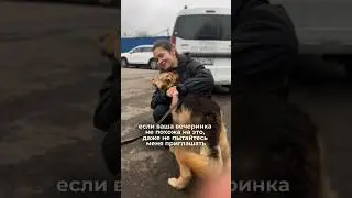 Присоединяйтесь😉 #помощьживотным