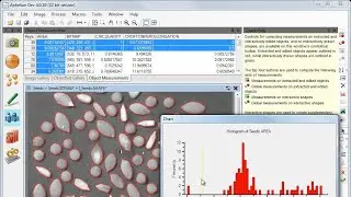ADCIS Products : Aphelion Lab&Dev 4.0 (Image Analysis and Processing Software) : Object Measurements
