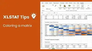 Coloring Matrix - XLSTAT Tips