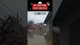 How to take better photos with your phone! (Reflections tutorial)