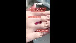 Gem identification : Ruby vs. Spinel part 1 #gemologists #gemstones #gemologycourse #อัญมณีศาสตร์